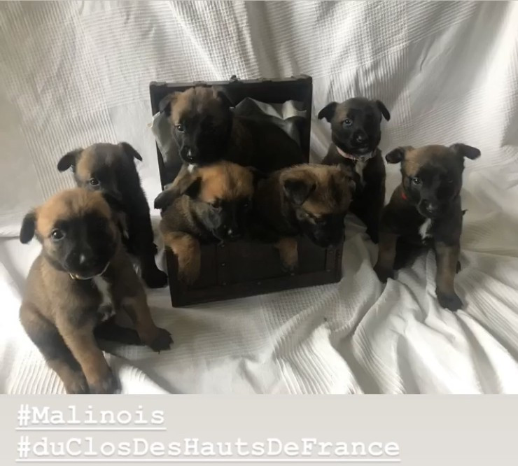 Un nouveau chapitre s écrit Coming soon.