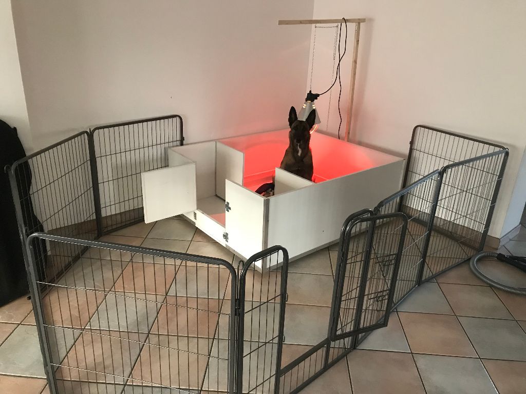 La nurserie